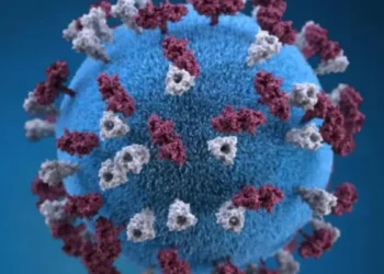 ഒൻ്റാറിയോയിൽ Measles പ്രതിരോധം ശക്തമാക്കുന്നു