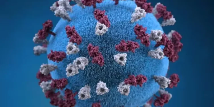 ഒൻ്റാറിയോയിൽ Measles പ്രതിരോധം ശക്തമാക്കുന്നു 1 ഒൻ്റാറിയോയിൽ Measles പ്രതിരോധം ശക്തമാക്കുന്നു