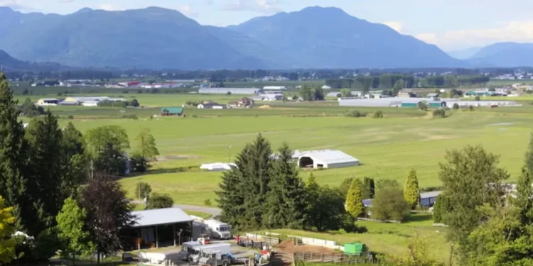 യുഎസ് താരിഫ് ഭീഷണി: അബോട്സ്ഫോർഡ്, മിഷൻ നഗരങ്ങൾ പ്രതിസന്ധിയിൽ! 1 യുഎസ് താരിഫ് ഭീഷണി: അബോട്സ്ഫോർഡ്, മിഷൻ നഗരങ്ങൾ പ്രതിസന്ധിയിൽ!