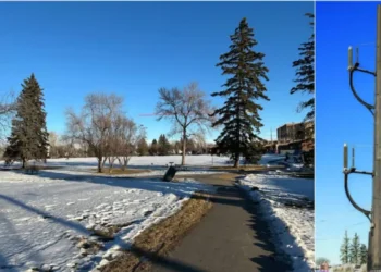 കാൽഗറി നിവാസികൾ 28 മീറ്റർ വൈദ്യുത പോളുകൾക്കെതിരെ 9 കാൽഗറി നിവാസികൾ 28 മീറ്റർ വൈദ്യുത പോളുകൾക്കെതിരെ