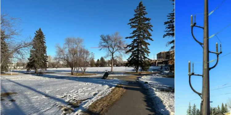 കാൽഗറി നിവാസികൾ 28 മീറ്റർ വൈദ്യുത പോളുകൾക്കെതിരെ