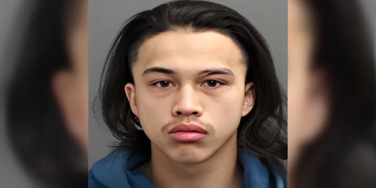 ഒട്ടാവയിൽ കൊലപാതകം: 25 വയസ്സുകാരൻ കുത്തേറ്റ് മരിച്ചു; രണ്ടുപേർക്കെതിരെ കേസ് 1 ഒട്ടാവയിൽ കൊലപാതകം: 25 വയസ്സുകാരൻ കുത്തേറ്റ് മരിച്ചു; രണ്ടുപേർക്കെതിരെ കേസ്