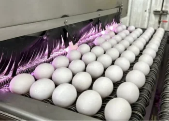 ന്യൂഫൗണ്ട്ലാൻഡിൽ H5N5 പക്ഷിപ്പനി സ്ഥിരീകരിച്ചു