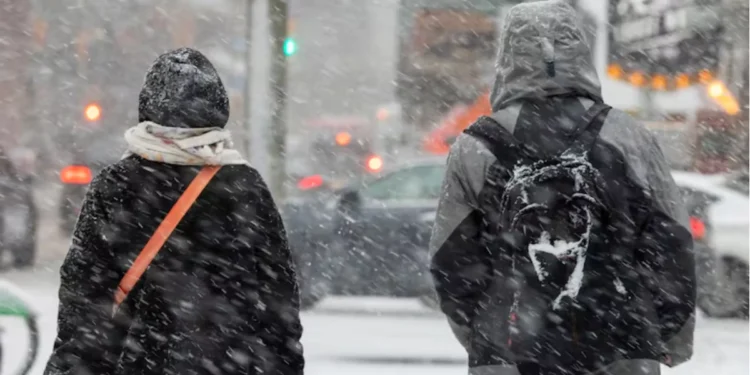 ടൊറന്റോയിൽ മഞ്ഞുവീഴ്ച: യാത്രാ ജാഗ്രത പാലിക്കുക 1 ടൊറന്റോയിൽ മഞ്ഞുവീഴ്ച: യാത്രാ ജാഗ്രത പാലിക്കുക