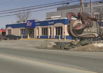 ക്ലിയർവാട്ടർ കടൽത്തൊഴിലിൽ പുതിയ വഴിത്തിരിവ്;