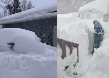 നോർത്തേൺ നോവ സ്കോഷ്യയിൽ ഇന്ന് സ്കൂളുകൾക്ക് അവധി