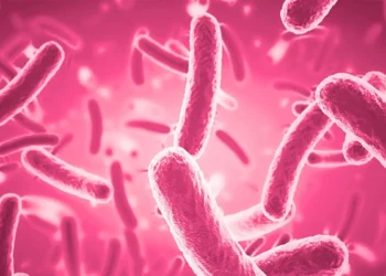 Bacterial Vaginosis : നിയന്ത്രണ രീതിയുമായി പുതിയ പഠന റിപ്പോർട്ട്