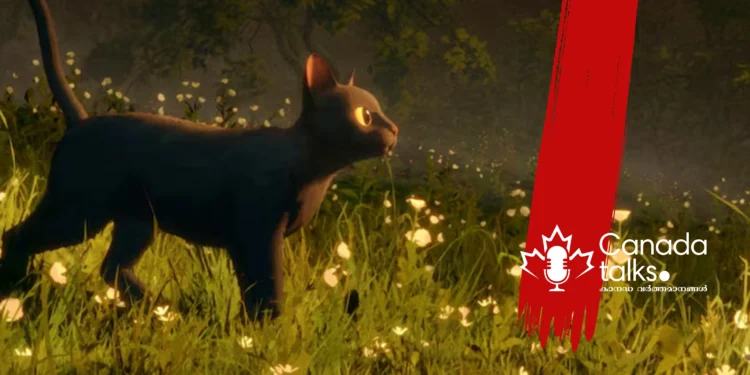 “ഫ്ലോ” അനിമേറ്റഡ് ഫീച്ചർ അവാർഡ് നേടി!