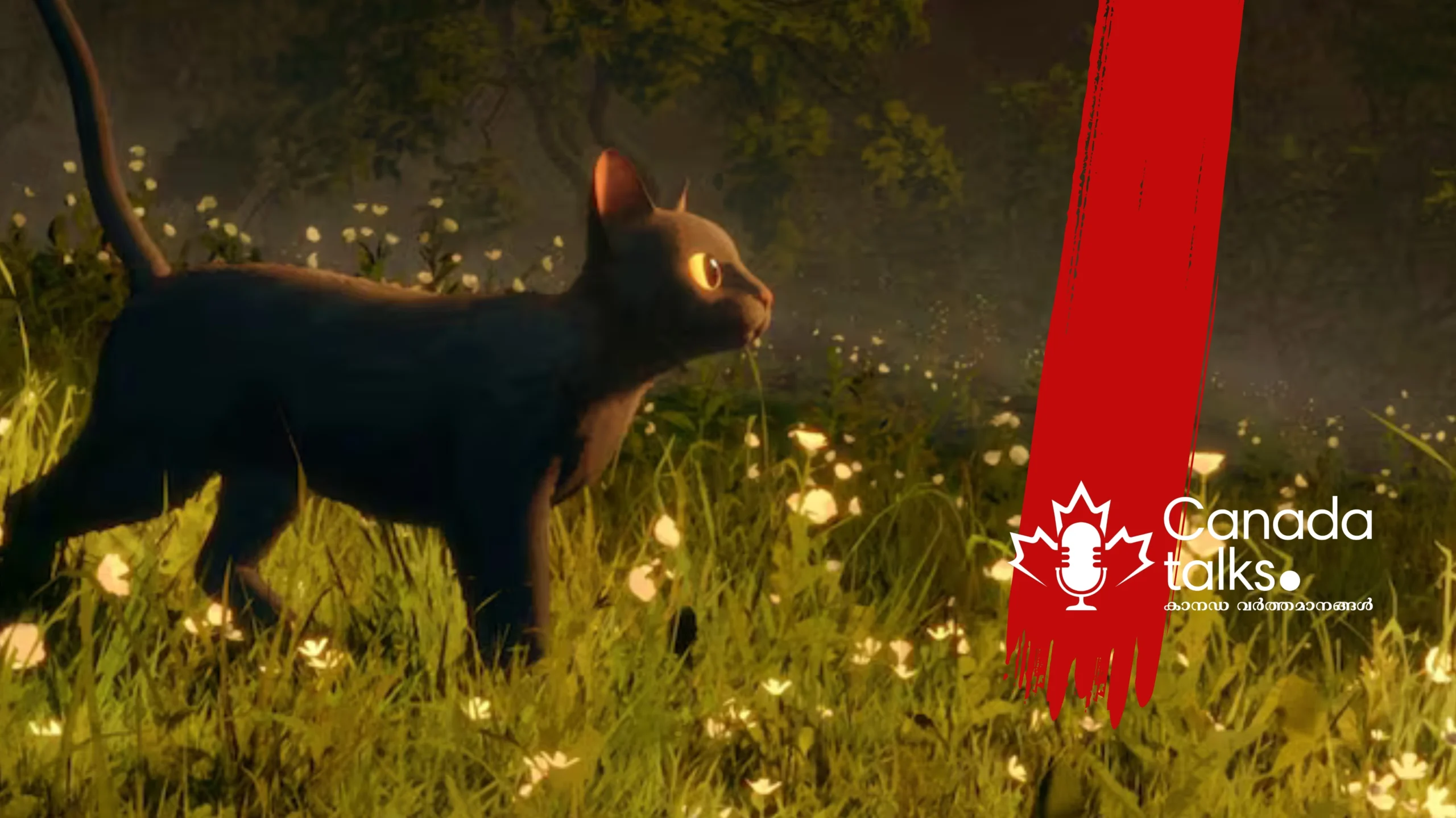 “ഫ്ലോ” അനിമേറ്റഡ് ഫീച്ചർ അവാർഡ് നേടി!