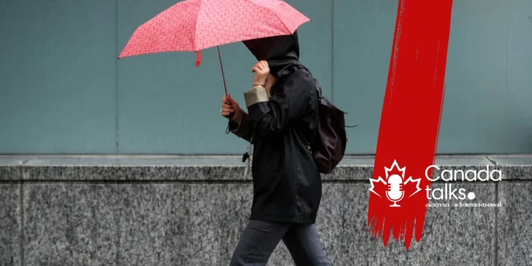 മൂന്ന് ദിവസത്തെ കാലാവസ്ഥാ മാറ്റം: മഞ്ഞിൽ നിന്ന് മഴയിലേക്ക്