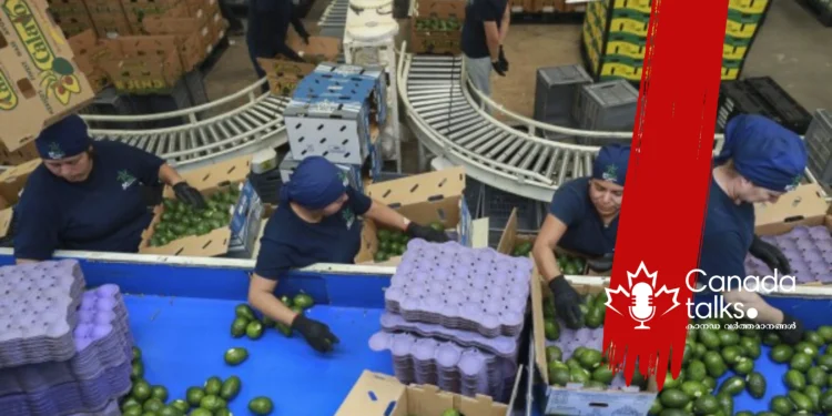 ട്രംപിന്റെ താരിഫ് നയങ്ങൾ ബിസിനസുകളിൽ അനിശ്ചിതത്വം സൃഷ്ടിക്കുന്നു.