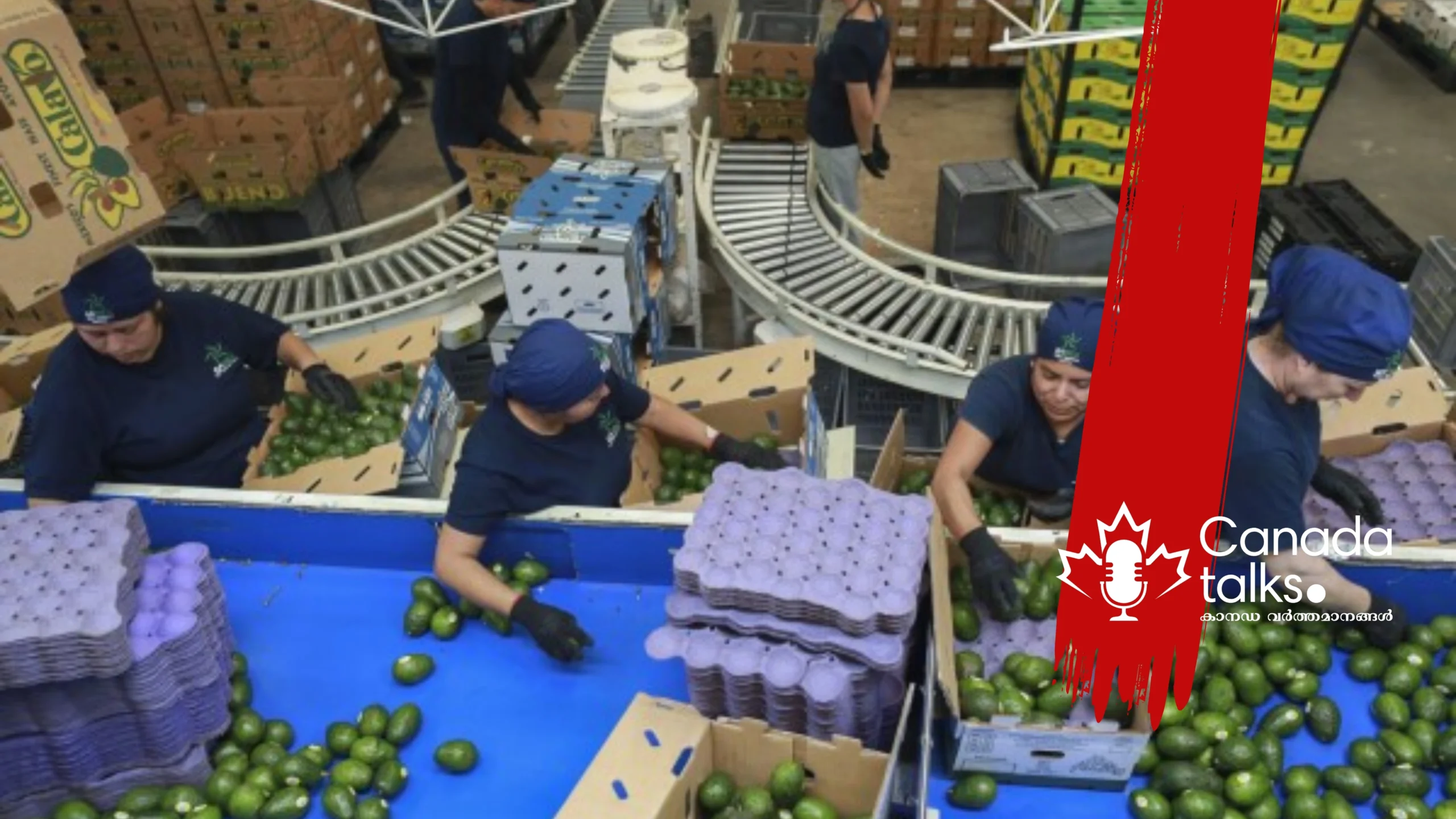 ട്രംപിന്റെ താരിഫ് നയങ്ങൾ ബിസിനസുകളിൽ അനിശ്ചിതത്വം സൃഷ്ടിക്കുന്നു.