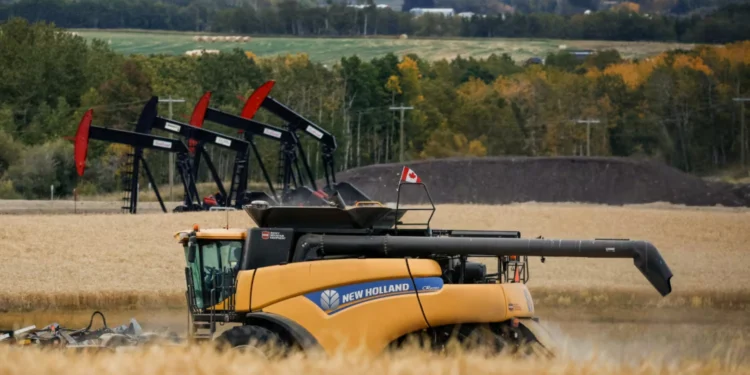 ചൈനയുടെ പുതിയ താരിഫ്: കനേഡിയൻ കനോല കർഷകർ പ്രതിസന്ധിയിൽ