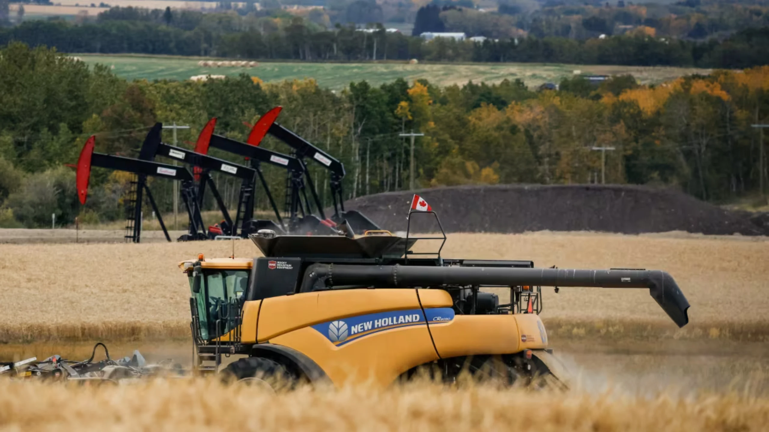 ചൈനയുടെ പുതിയ താരിഫ്: കനേഡിയൻ കനോല കർഷകർ പ്രതിസന്ധിയിൽ