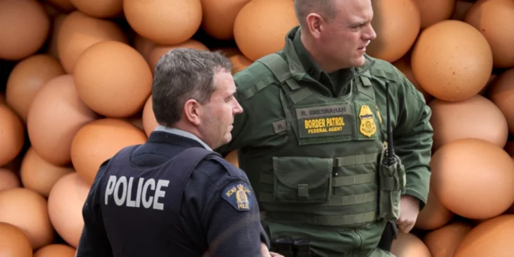 മുട്ട കടത്തിന് വേണ്ടി അതിർത്തി കടക്കുന്നവർ!