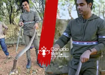 കോബ്രയെ പേടിയില്ലാതെ പിടികൂടി; ടൊവിനോ യഥാർത്ഥ ഹീറോയായി