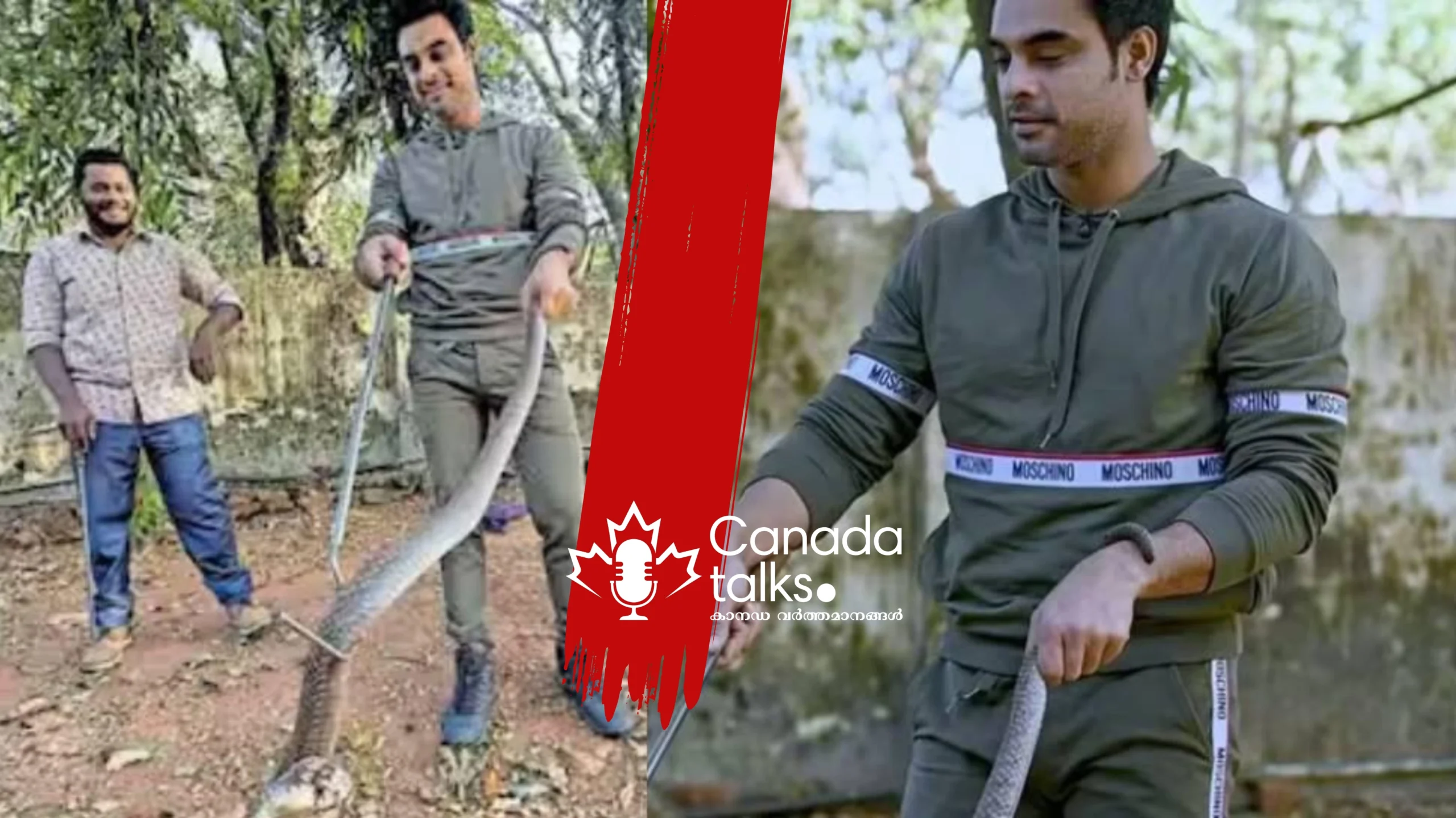 കോബ്രയെ പേടിയില്ലാതെ പിടികൂടി; ടൊവിനോ യഥാർത്ഥ ഹീറോയായി