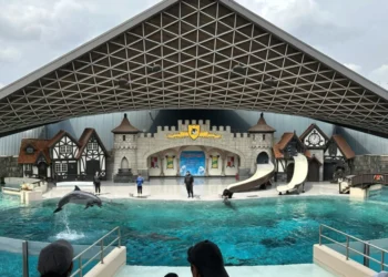 മറൈൻലാൻഡ് സമുദ്രജീവികളെ മാറ്റാൻ സഹായം തേടുന്നു