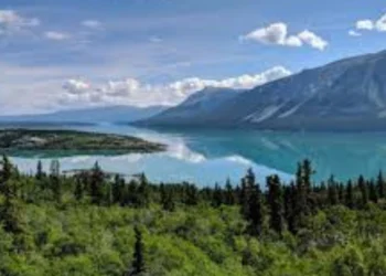 യൂക്കോൺ നോമിനീ പ്രോഗ്രാമിൽ പുതിയ മാറ്റങ്ങൾ: