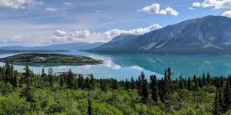 യൂക്കോൺ നോമിനീ പ്രോഗ്രാമിൽ പുതിയ മാറ്റങ്ങൾ: 1 യൂക്കോൺ നോമിനീ പ്രോഗ്രാമിൽ പുതിയ മാറ്റങ്ങൾ: