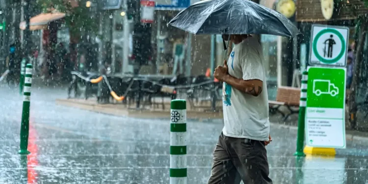 മോണ്ട്രിയലിൽ ഈ ആഴ്ച മിതമായ കാലാവസ്ഥയും ശക്തമായ മഴയും 1 rain in montreal