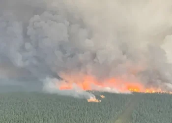 ആൽബർട്ടയിൽ കാട്ടുതീ ആശങ്കയിൽ അധികൃതർ