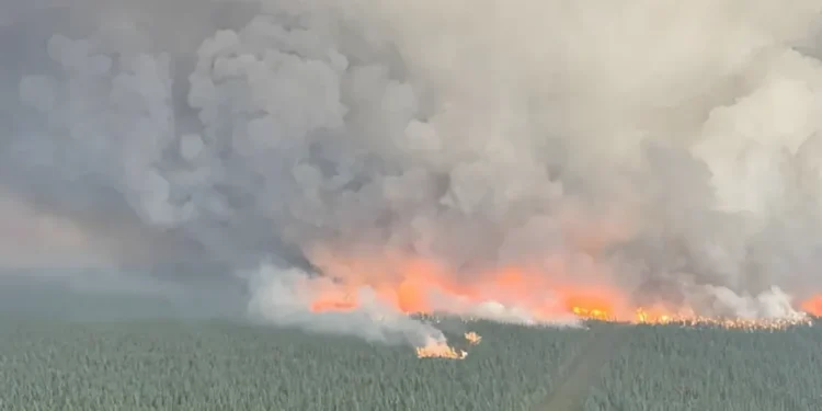 ആൽബർട്ടയിൽ കാട്ടുതീ ആശങ്കയിൽ അധികൃതർ