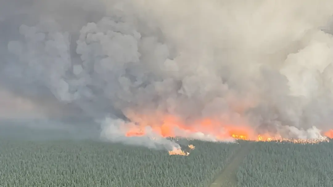 ആൽബർട്ടയിൽ കാട്ടുതീ ആശങ്കയിൽ അധികൃതർ
