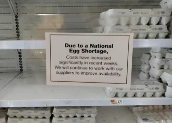 അമേരിക്കയിൽ മുട്ട ക്ഷാമം രൂക്ഷം!