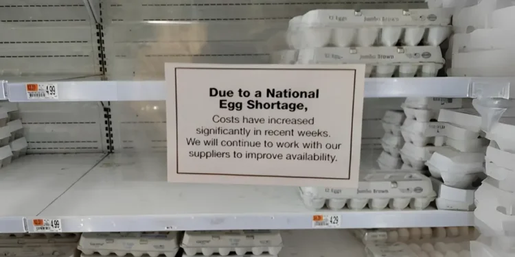 അമേരിക്കയിൽ മുട്ട ക്ഷാമം രൂക്ഷം!