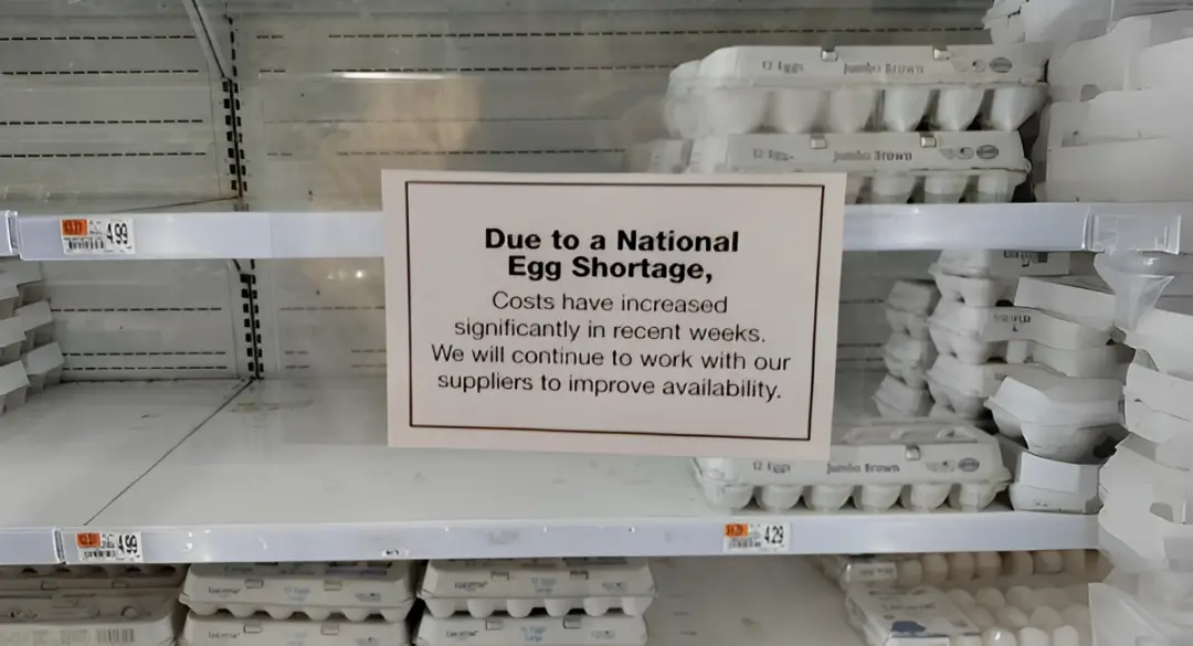 അമേരിക്കയിൽ മുട്ട ക്ഷാമം രൂക്ഷം!