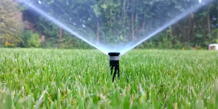 ഗാറ്റിനോയിൽ ജല സംരക്ഷണത്തിനായി കർശന നിയന്ത്രണങ്ങൾ ഏർപ്പെടുത്തുന്നു 1 ഗാറ്റിനോയിൽ ജല സംരക്ഷണത്തിനായി കർശന നിയന്ത്രണങ്ങൾ ഏർപ്പെടുത്തുന്നു