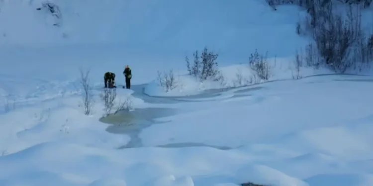 ഹാഗ്ഗർട്ട് ക്രീക്കിൽ സയനൈഡ് ഭീഷണി ! 1 ഹാഗ്ഗർട്ട് ക്രീക്കിൽ സയനൈഡ് ഭീഷണി !