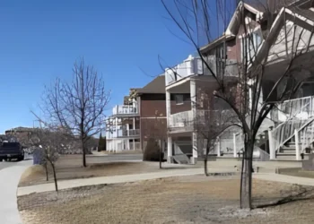 മരം ഇല്ലാത്തവർക്ക് ‘മരനികുതി’