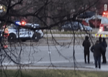 വാഹനാപകടത്തിൽ കാൽനടയാത്രക്കാരൻ മരിച്ചു.