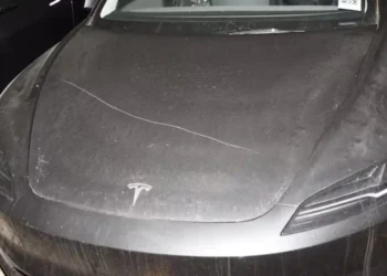 ഹാമിൽട്ടണിൽ 80 ടെസ്‌ല കാറുകൾ നശിപ്പിച്ചു