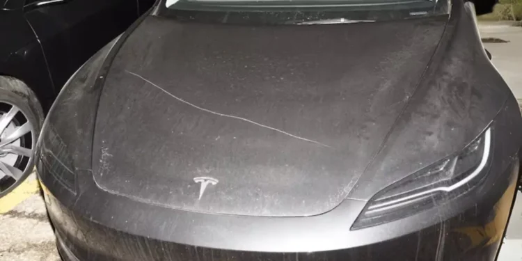 ഹാമിൽട്ടണിൽ 80 ടെസ്‌ല കാറുകൾ നശിപ്പിച്ചു