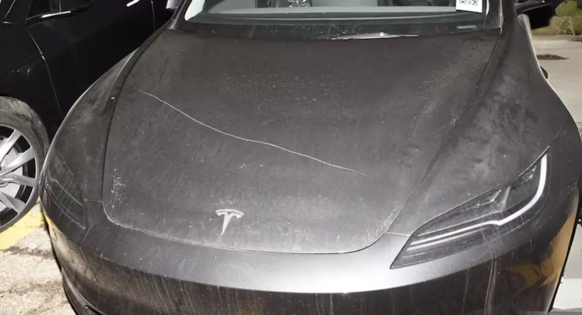 ഹാമിൽട്ടണിൽ 80 ടെസ്‌ല കാറുകൾ നശിപ്പിച്ചു