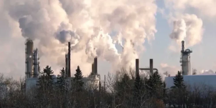 ഫെഡറൽ തിരഞ്ഞെടുപ്പ് 1 ഫെഡറൽ തിരഞ്ഞെടുപ്പ്