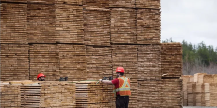 ട്രംപിന്റെ പുതിയ നികുതി നീക്കം 1 ട്രംപിന്റെ പുതിയ നികുതി നീക്കം