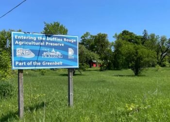 ഗ്രീൻബെൽറ്റ് വിവാദം:ഫോർഡിന്റെ മുൻ സഹായി നിയമലംഘനം നടത്തി!