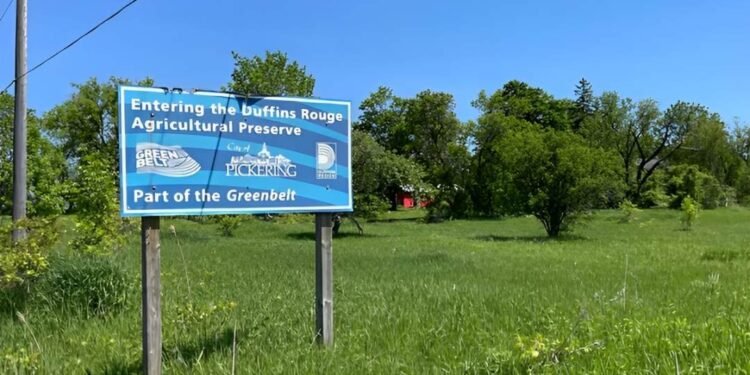 ഗ്രീൻബെൽറ്റ് വിവാദം:ഫോർഡിന്റെ മുൻ സഹായി നിയമലംഘനം നടത്തി!