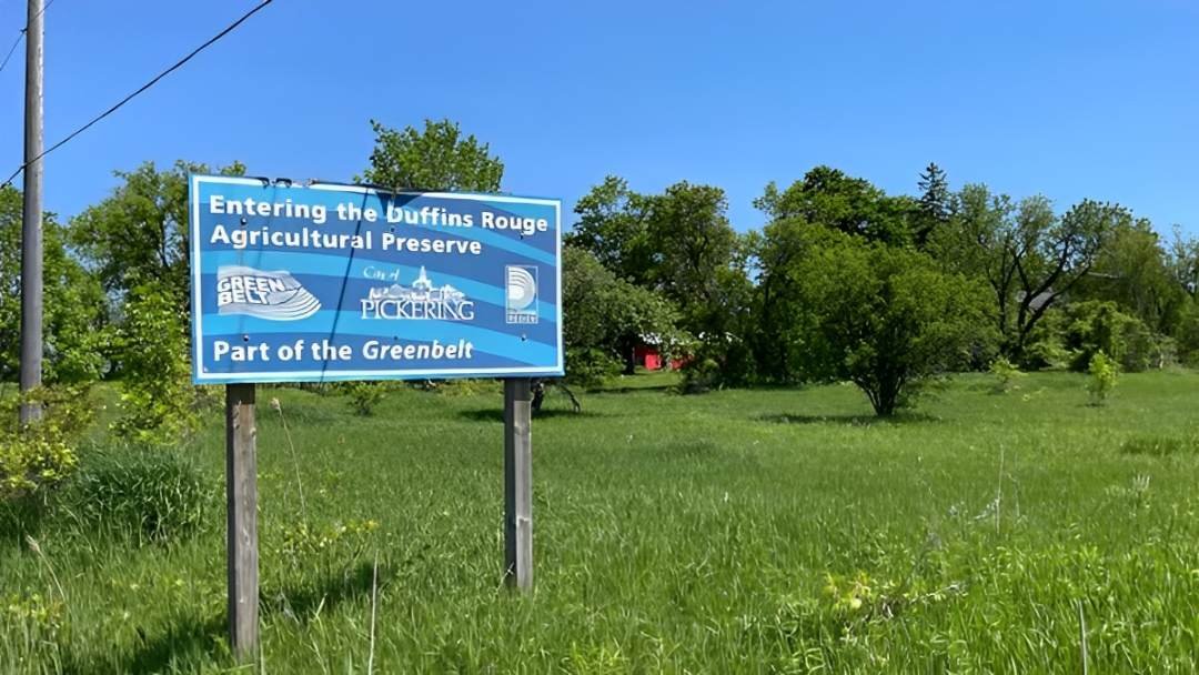 ഗ്രീൻബെൽറ്റ് വിവാദം:ഫോർഡിന്റെ മുൻ സഹായി നിയമലംഘനം നടത്തി!