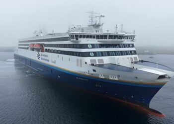 ജസ്റ്റിസ് ആവശ്യപ്പെട്ട് ആൻഡ്രൂ ഫ്യൂറി!