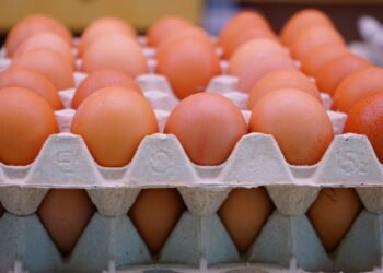 കാനഡയെ അവഗണിച്ച് അമേരിക്ക: