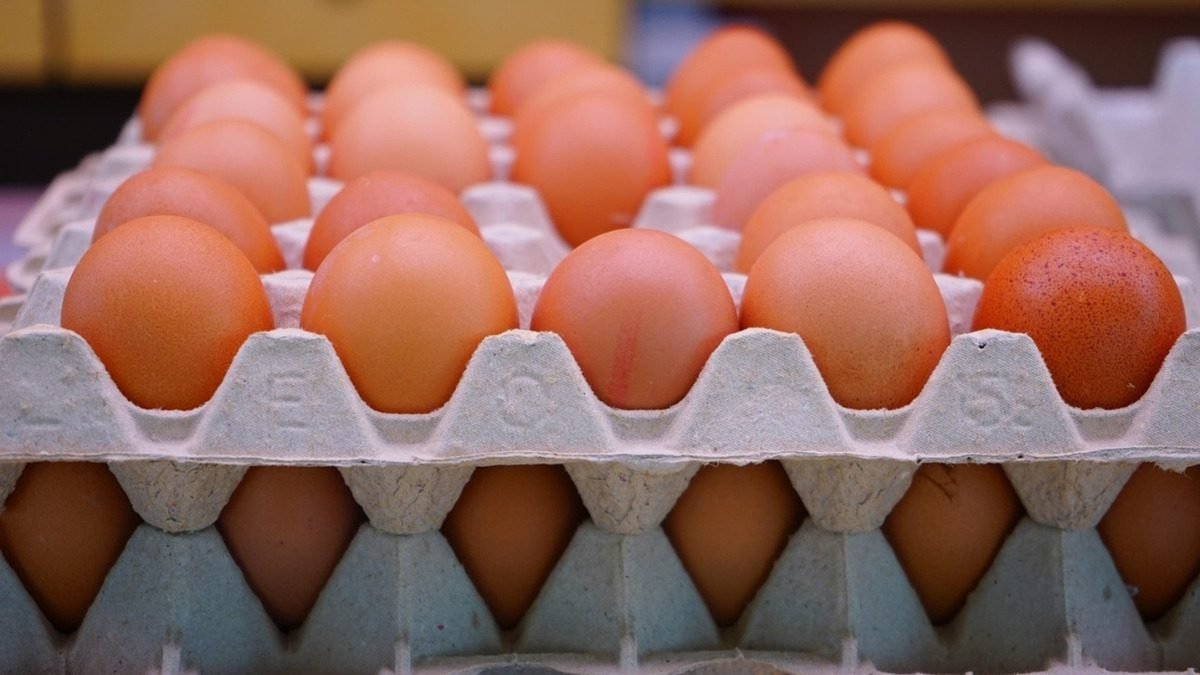 കാനഡയെ അവഗണിച്ച് അമേരിക്ക: