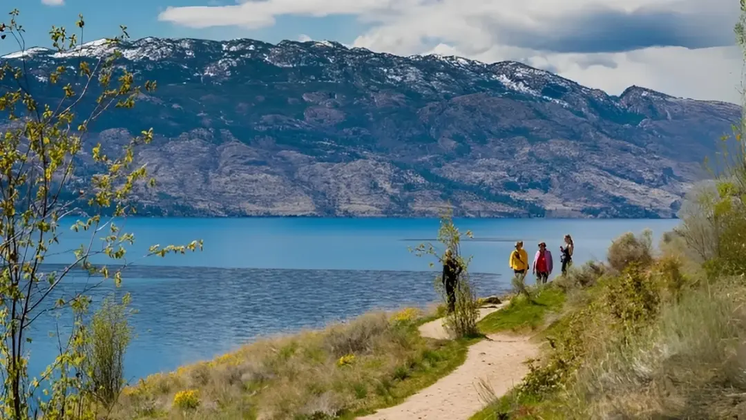 വാഹനങ്ങളോ വന്യമൃഗങ്ങളോ? Kalamoir  Park വിഷയത്തില്‍ ജനങ്ങളുടെ ആശങ്ക