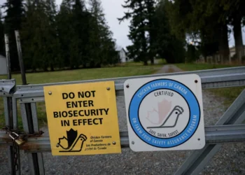 ബ്രിട്ടീഷ് കൊളംബിയയിലെ പക്ഷിപ്പനി; 8.7 ദശലക്ഷം പക്ഷികൾ നഷ്ടപ്പെട്ടു ! 3 ബ്രിട്ടീഷ് കൊളംബിയയിലെ പക്ഷിപ്പനി; 8.7 ദശലക്ഷം പക്ഷികൾ നഷ്ടപ്പെട്ടു !