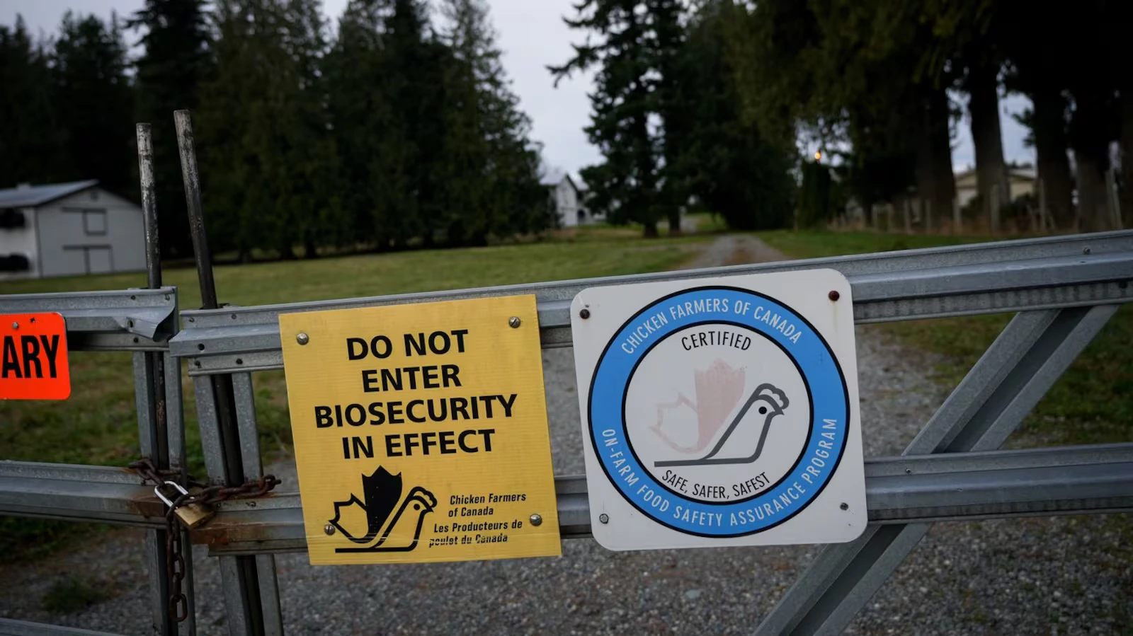 ബ്രിട്ടീഷ് കൊളംബിയയിലെ പക്ഷിപ്പനി; 8.7 ദശലക്ഷം പക്ഷികൾ നഷ്ടപ്പെട്ടു !