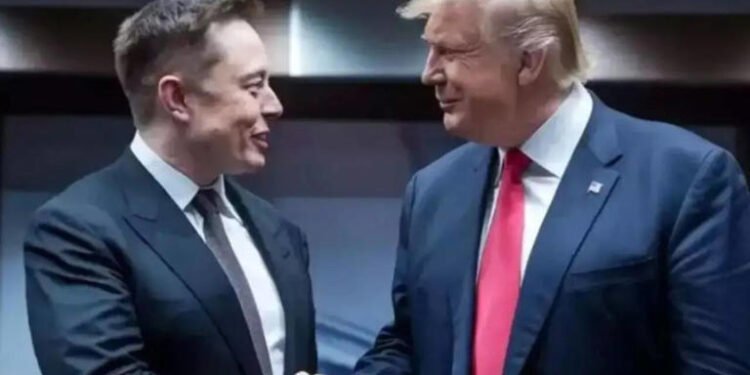 ട്രംപിന്റെ സാമ്പത്തിക ഉപദേശക പദവി ഒഴിയും; മസ്കിന്റെ ശ്രദ്ധ ഇനി ടെസ്ലയിൽ 1 ട്രംപിന്റെ സാമ്പത്തിക ഉപദേശക പദവി ഒഴിയും; മസ്കിന്റെ ശ്രദ്ധ ഇനി ടെസ്ലയിൽ